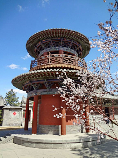 馨语cc采集到建筑（古风）