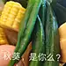 贼帅的佛系括(暂退)