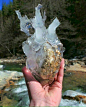 这块结冰的岩石像一颗心脏 ​​​​
