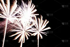 豪华的烟花事件，天空秀与橙色的棕榈树星星