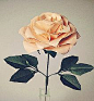 25瓣玫瑰超漂亮折纸玫瑰花视频教程