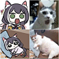 【梦 幻 联 动】猫猫头X臭鼬头  (twi:JAZZ_JACK_KHT ​​​​