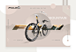 Reynolds store. : infographic, element, graph, chart, vector, business, bar, data, design, report, graphic, info, modern, set, rate, rating, text, background, layout, pie, growth, web, document, collection, concept, banner, information, infochart, abstrac