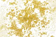 笔触设计元素背景。金色水彩纹理颜料染色抽象
