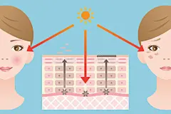 白头发皮肤层 - 搜索结果 - 图虫创意-全球领先正版图片及视频素材库-3.5亿高清资源-5折大促