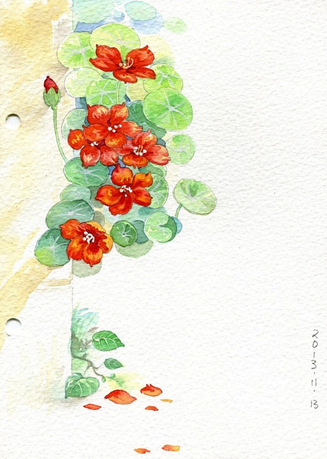 #小清新插画# #水彩#花卉 #治愈系#