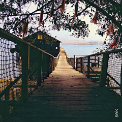 黎子安采集到场景