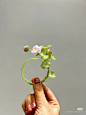 https://www.xiaohongshu.com/user/profile/5faba35000000000010019d1?xhsshare=CopyLink&appuid=61596de00000000002018efb&apptime=1729669729&share_id=efe636beaef54dc9b2b6e6e0ef58354e