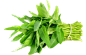 有机新鲜空心菜1