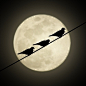 Birds against the moon.