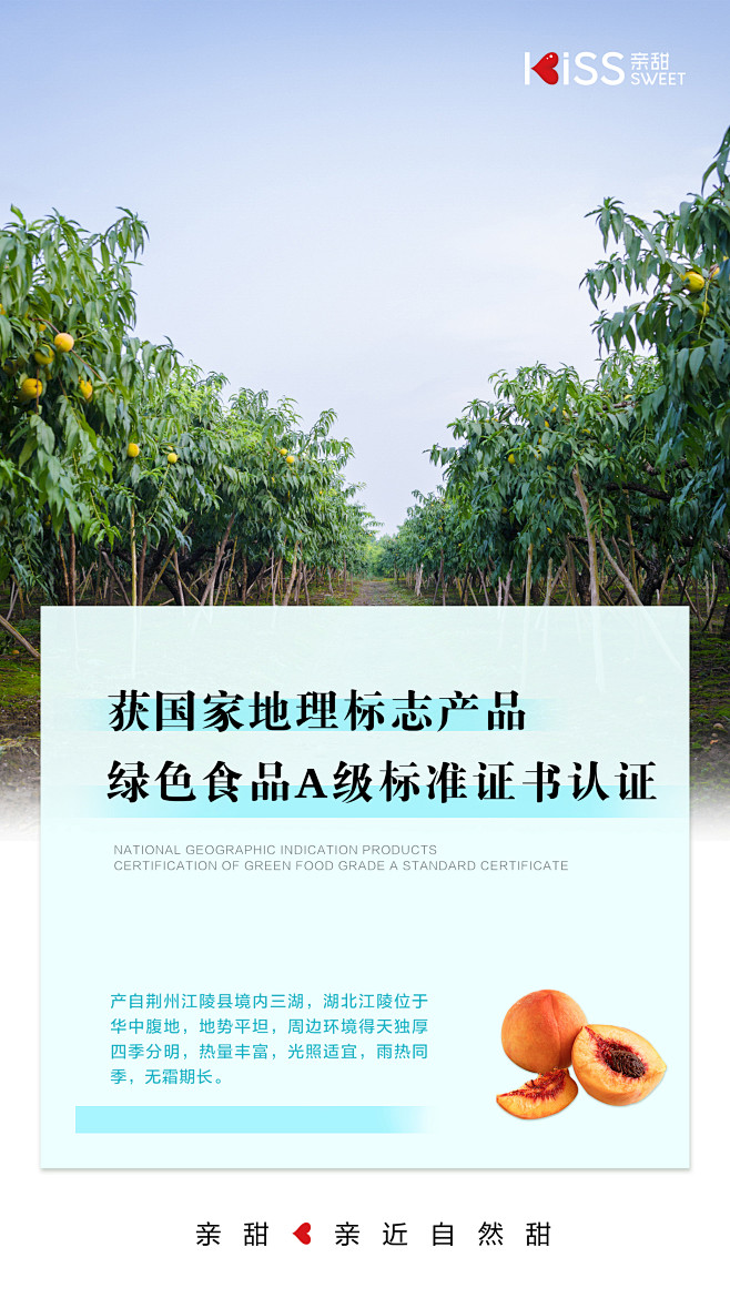 卖点海报6
