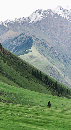 Titi丶采集到风景