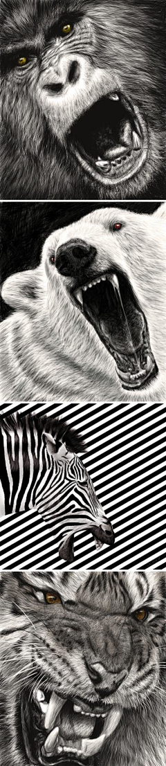 紫风凌采集到插画