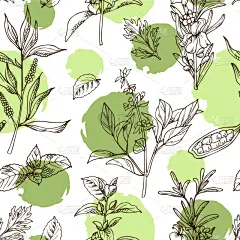 华丽的,香料,草本,动物手,背景,绿薄荷,饮料,健康保健,绘制,烹调