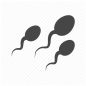 ejaculation, penis, reproduction, sperm icon