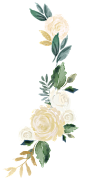 水彩唯美手绘白色婚礼请柬花卉装饰免抠PNG图案 PS设计素材 (48)
