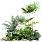 花瓣素材_植物通用绿色实景景观绿植组合元素素材_193450064