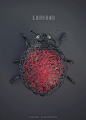 mateusz-szulik-09-ladybug-a.jpg (800×1119)