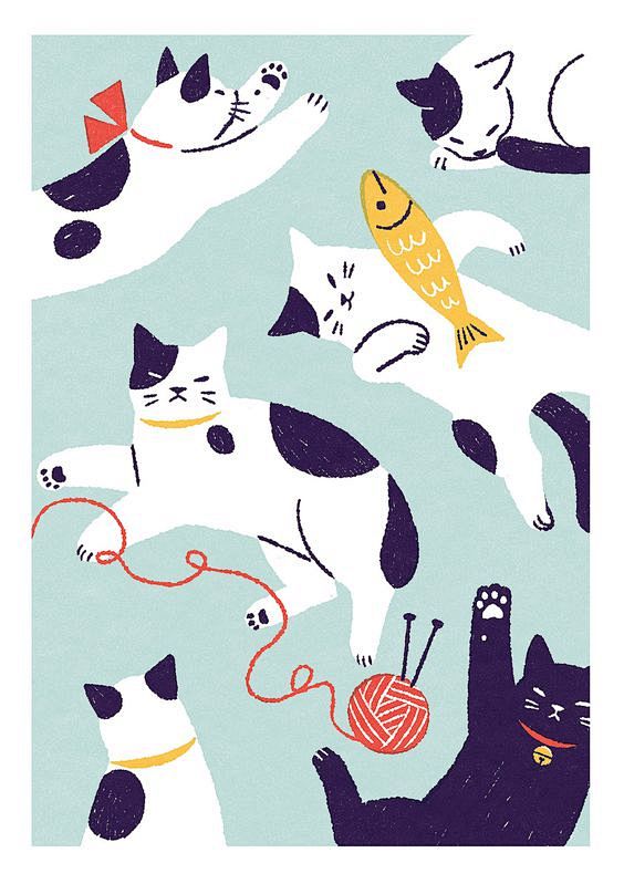 猫