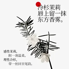 东边野兽灵芝修护淡纹精华油+灵芝唇油-tmall.com天猫