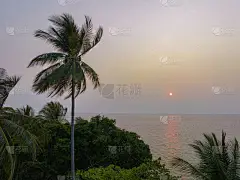 鸟瞰太阳在椰子树上方甜蜜的夕阳西下的地平线