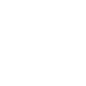 2021新势力周logo