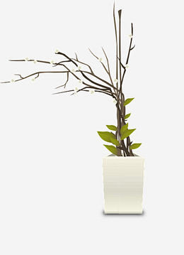 植物花盆白室内盆栽植物室内装饰png