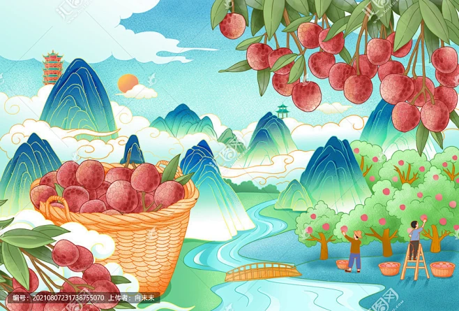 荔枝插画-花瓣网