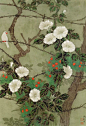 金鸿钧