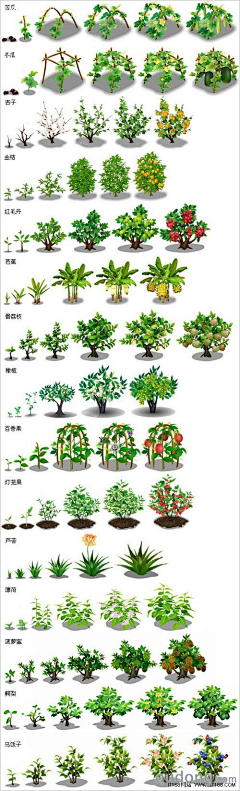雨过丶采集到植物