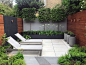 Clapton garden design — Cat Howard