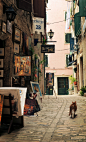 Artists Walk, Rovinj, Croatia
photo via laeitf