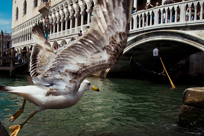 Stories From Venice ...