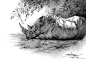 狮鸢SONNY  的插画 树荫下