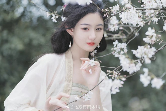 赵晴