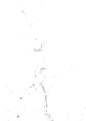 101_2719346576