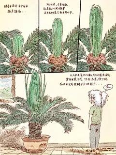 咬人画的-铁树观察日记


这是个很短的小记录，已经是前阵子的事了，
只是如实记录下我所看到的一件小事。
在北方，铁树生长缓慢，以至于我很少注意到铁树的生长，
寄住的小区走廊上放置了几盆铁树，夏初，铁树发芽了，
才有幸亲见铁树的生长。近一个月的时间，
我有空就去看看铁树，看看它的生长，
不禁让人感叹于生命的多姿与美丽。南方的朋友估计很常见这种事，
但还是记了下来，也就形成了这个小小的观察笔记。
与大家分享这点滴之美...