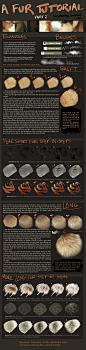 A Fur Tutorial: Part 2 by *CoyoteMange on deviantART