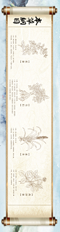 本草纲目药材长图海报-志设网-zs9.com