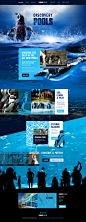 https://www.behance.net/gallery/19474747/net-magazine-Design-Challenge-Aquarium