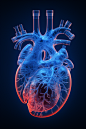 医疗扫描健康的心脏概念摄影图片