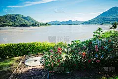 江山水花之美。