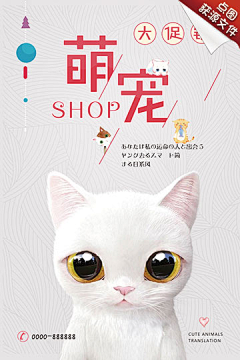 朝冬采集到宠物行业海报采集（作 业 ）