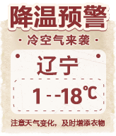 天气-毛绒