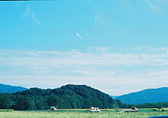 iamcm采集到生活在日本-堆糖。