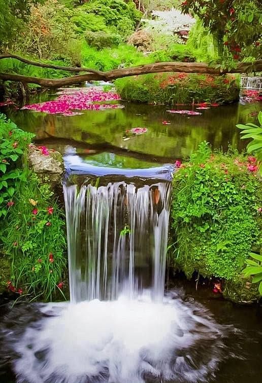 瀑布池，德文郡，英格兰