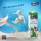 DOMTY MILK