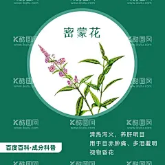 中草药密蒙花  - 源文件下载【酷图网】中药,中草药,草本植物,植物,手绘,草药,中医,密蒙花,中药材,PSD,RGB,