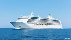 生成平面插画 (35)