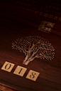 容品牌：雨林古茶坊&雨林古树茶-108棵树产品包装设计与整体策划-古田路9号-品牌创意/版权保护平台